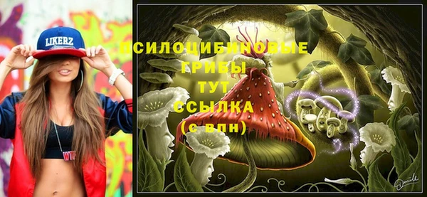 МДПВ Абинск